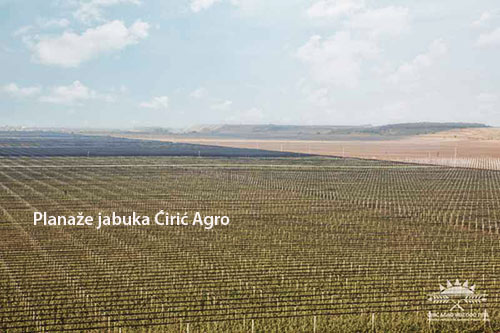 Tabela pokazuje spoljnotrgovinsku razmenu između Srbije i Rusije