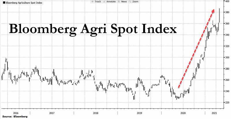 Bloomberg Agri index