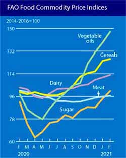 Chart with global food prices trends
