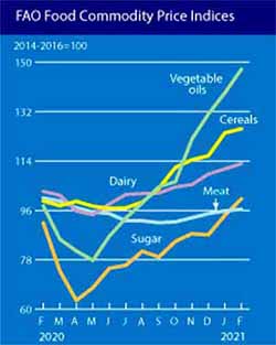 Global food prices trends Chart with global food prices trends