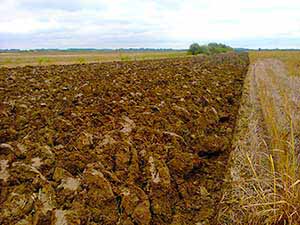 Our arable land stretches indefinitely Our farmland